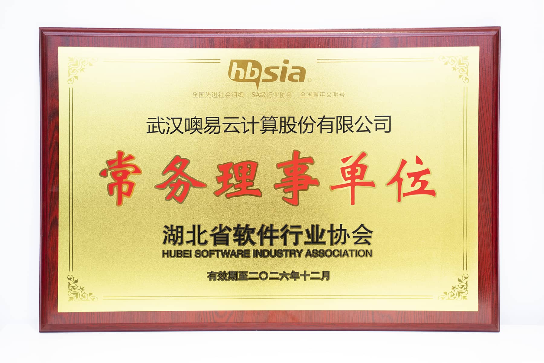 常务理事单位（湖北省软件行业协会）